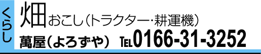 0166-31-3252