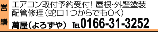 0166-31-3252