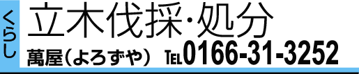 0166-31-3252