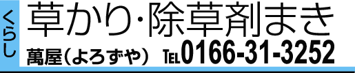 0166-31-3252