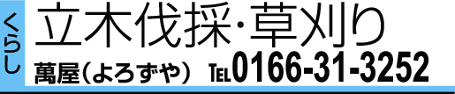 0166-31-3252