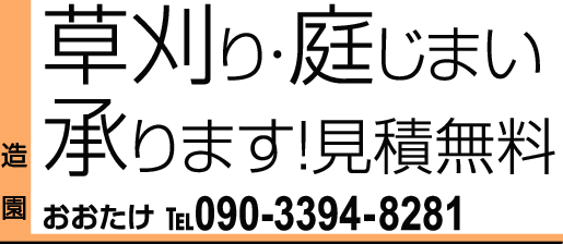 090-3394-8281