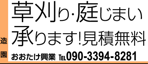 090-3394-8281