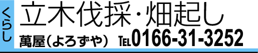 0166-31-3252